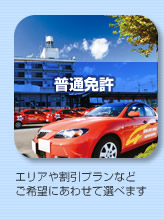 普通免許 エリアや割引プランなどご希望に合わせて選べます